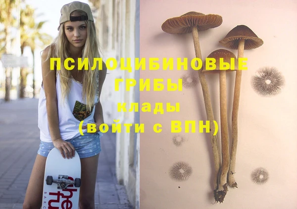ПСИЛОЦИБИНОВЫЕ ГРИБЫ Волоколамск