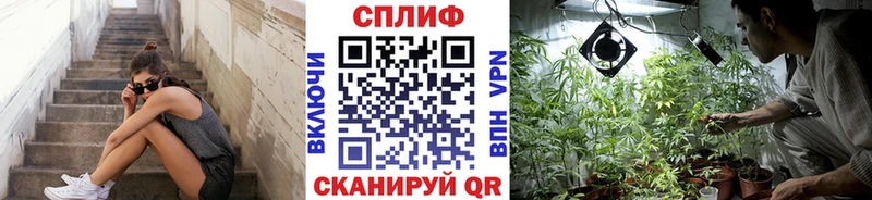 Купить где  Славянск-на-Кубани  Шишки марихуана марихуана 